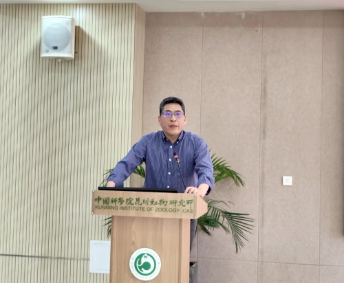 电子游戏app下载安装