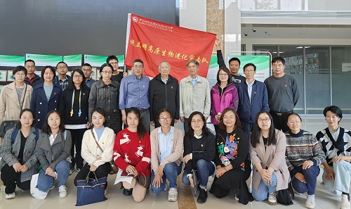 电子游戏app下载安装