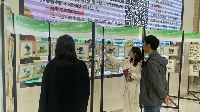 电子游戏app下载安装