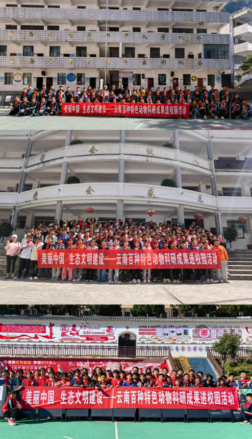 电子游戏app下载安装