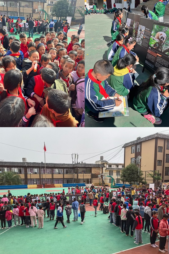 电子游戏app下载安装