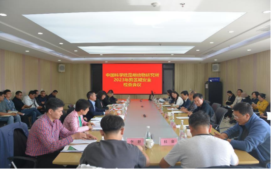 电子游戏app下载安装