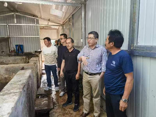 电子游戏app下载安装