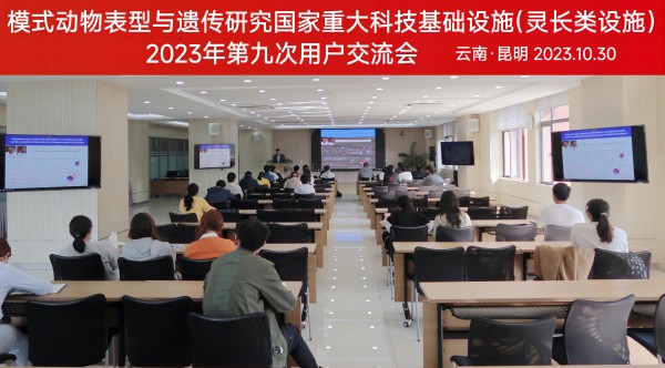 电子游戏app下载安装