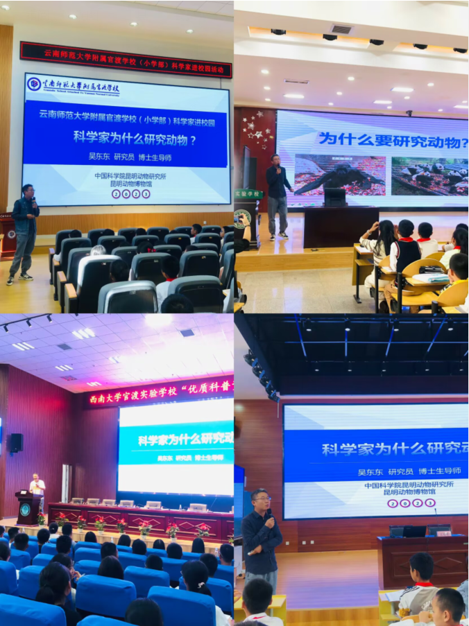 电子游戏app下载安装