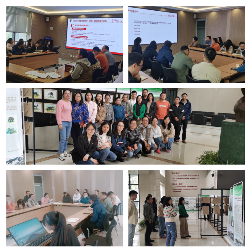 电子游戏app下载安装