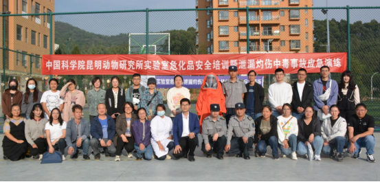 电子游戏app下载安装