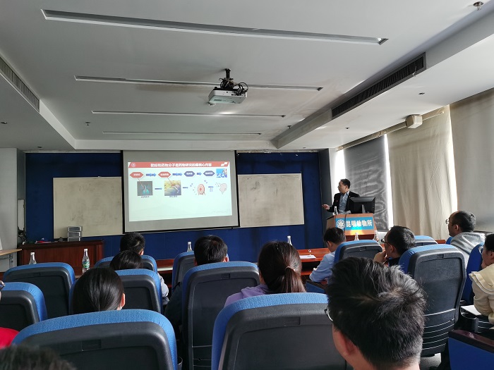 电子游戏app下载安装