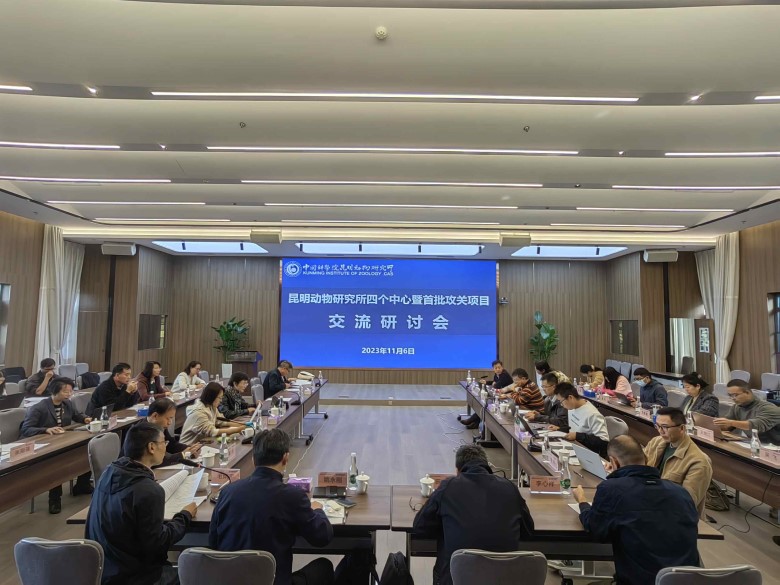 电子游戏app下载安装