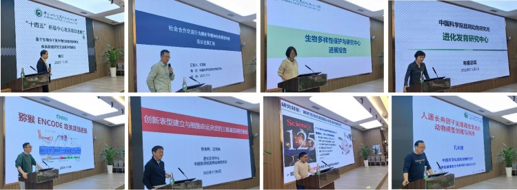 电子游戏app下载安装