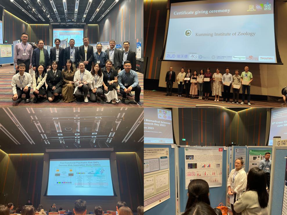 电子游戏app下载安装