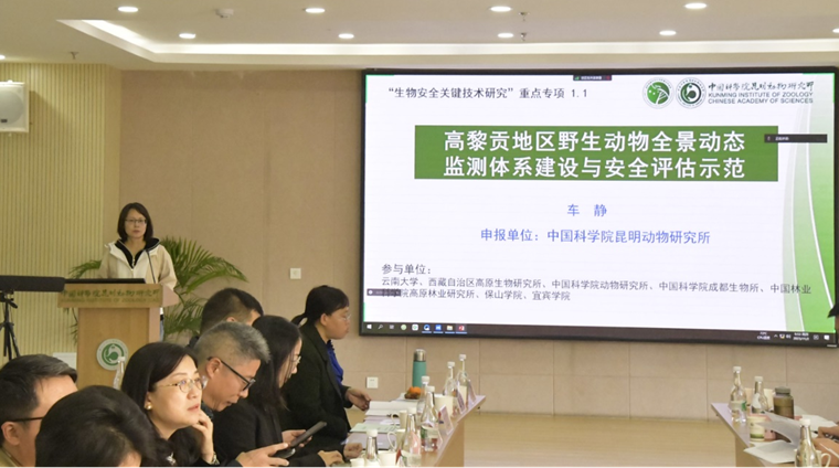 电子游戏app下载安装