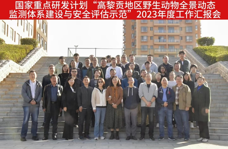 电子游戏app下载安装