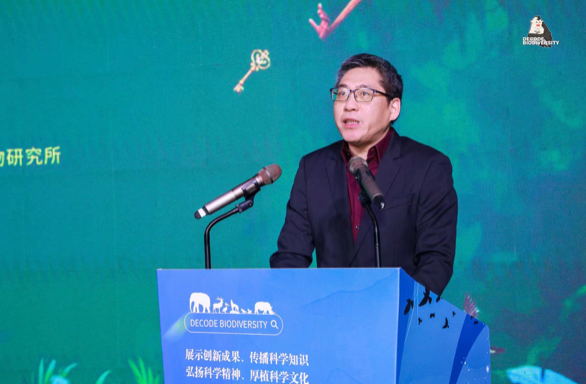 电子游戏app下载安装