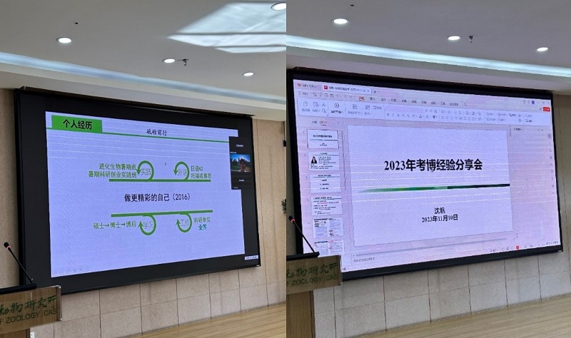电子游戏app下载安装