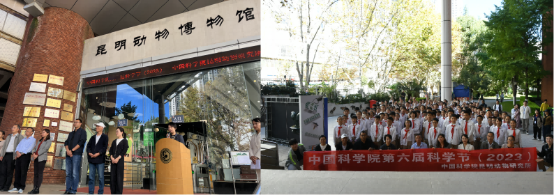 电子游戏app下载安装