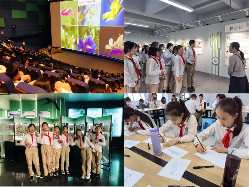 电子游戏app下载安装