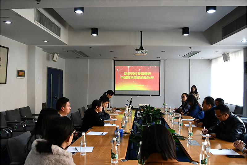 电子游戏app下载安装