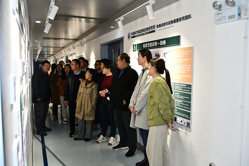 电子游戏app下载安装