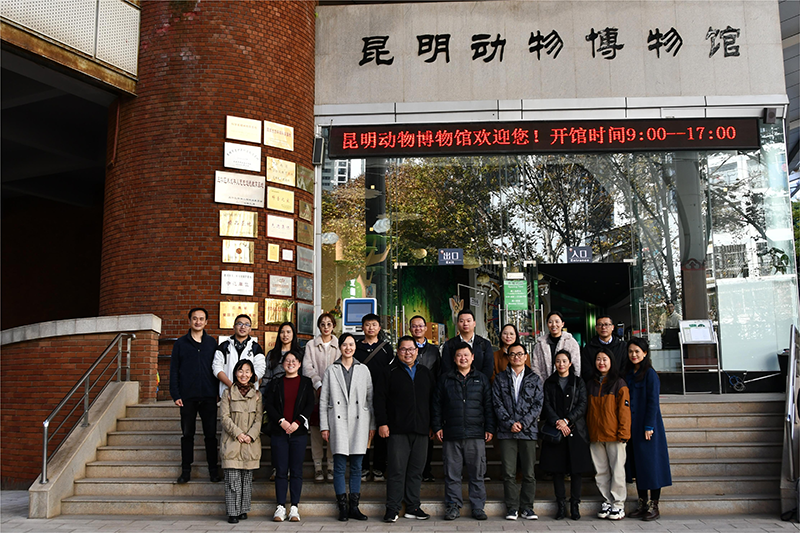 电子游戏app下载安装