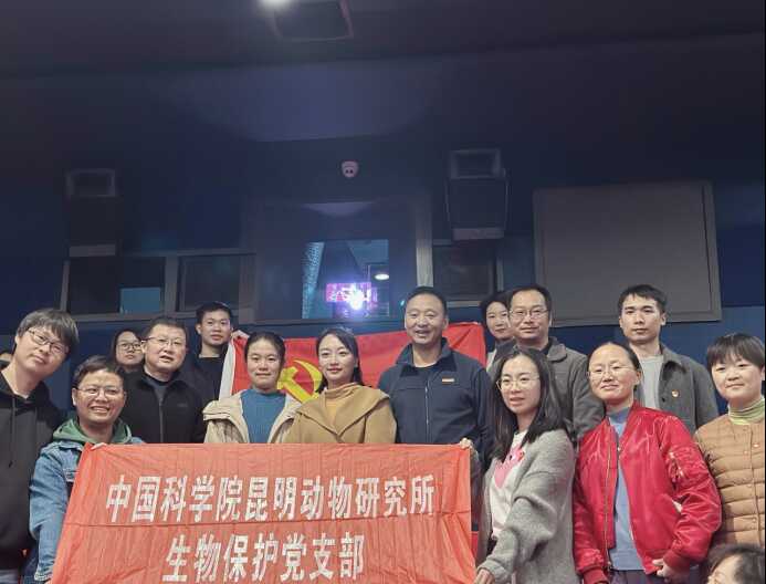 电子游戏app下载安装