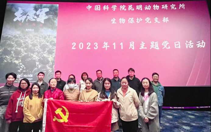 电子游戏app下载安装