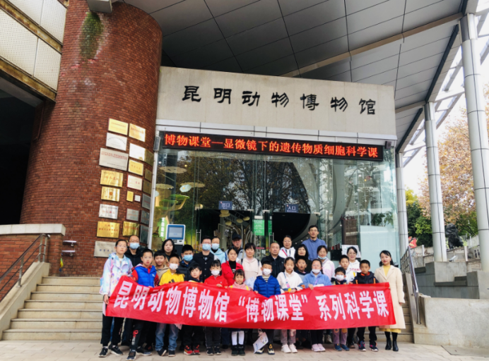 电子游戏app下载安装