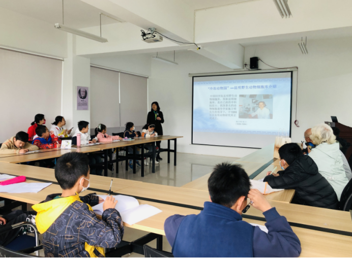 电子游戏app下载安装