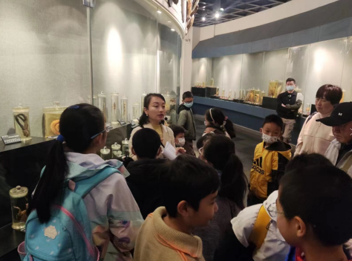 电子游戏app下载安装