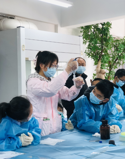 电子游戏app下载安装