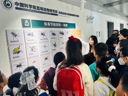 电子游戏app下载安装