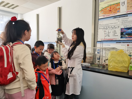 电子游戏app下载安装