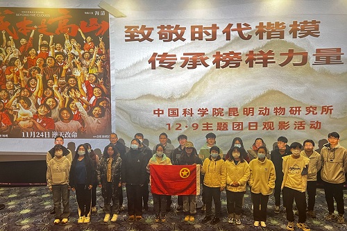 电子游戏app下载安装