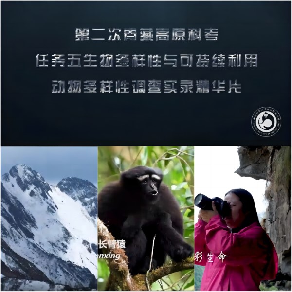 电子游戏app下载安装