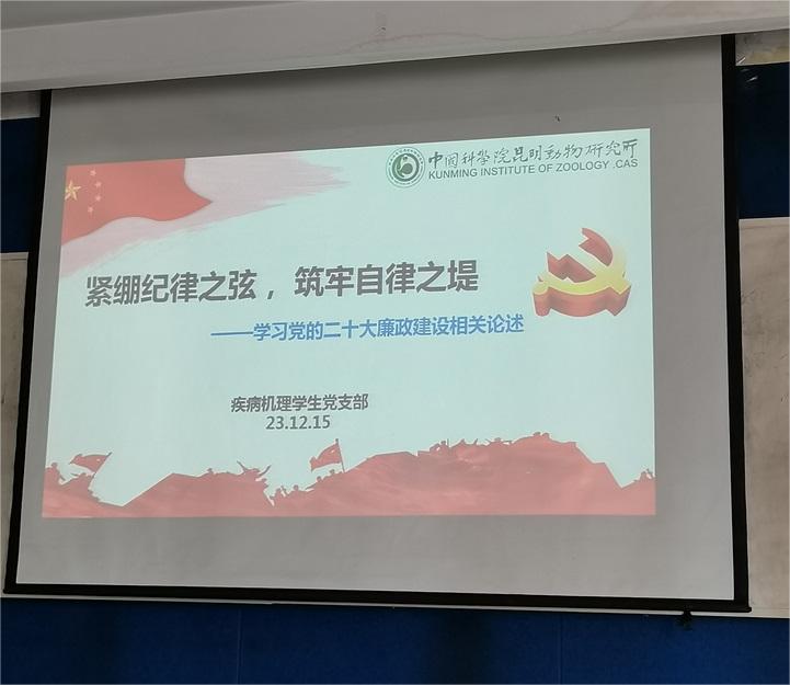 电子游戏app下载安装