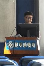 电子游戏app下载安装