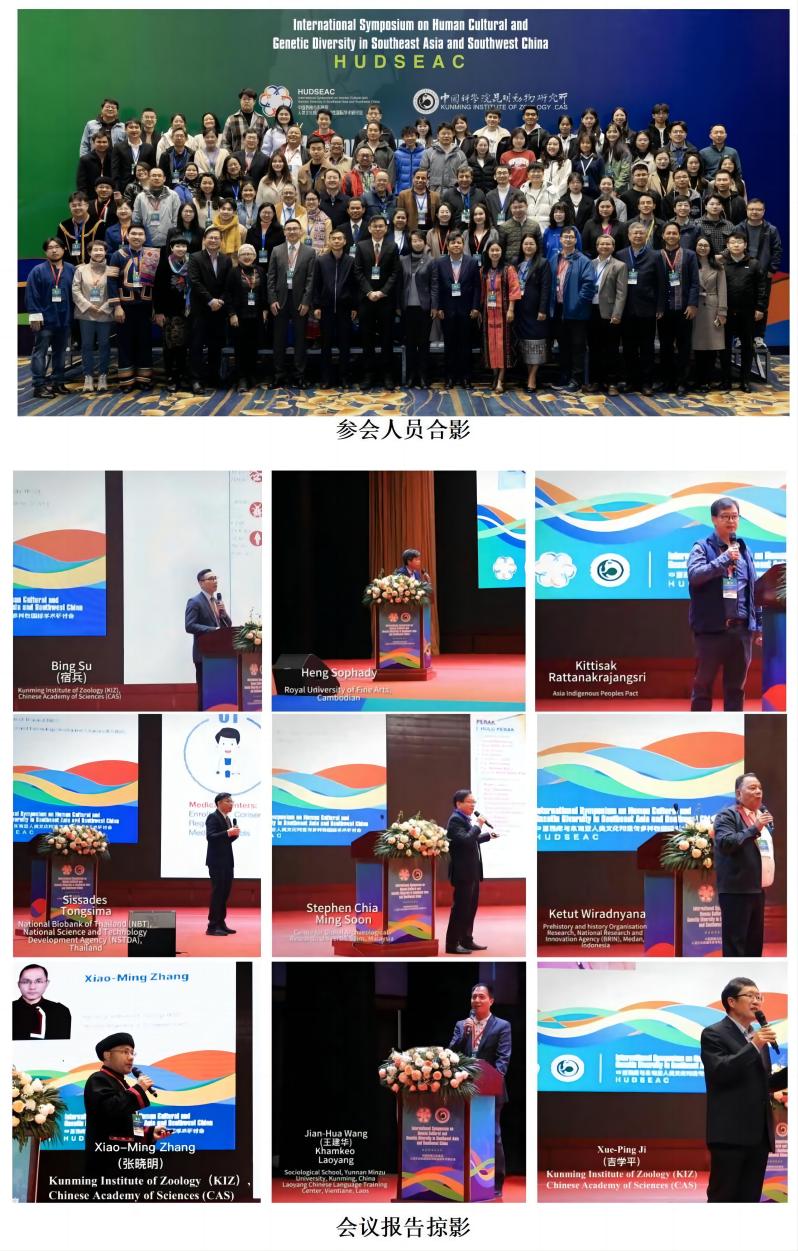 电子游戏app下载安装