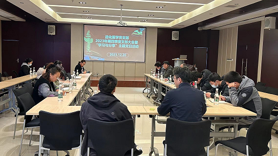 电子游戏app下载安装