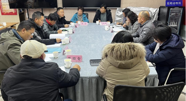 电子游戏app下载安装