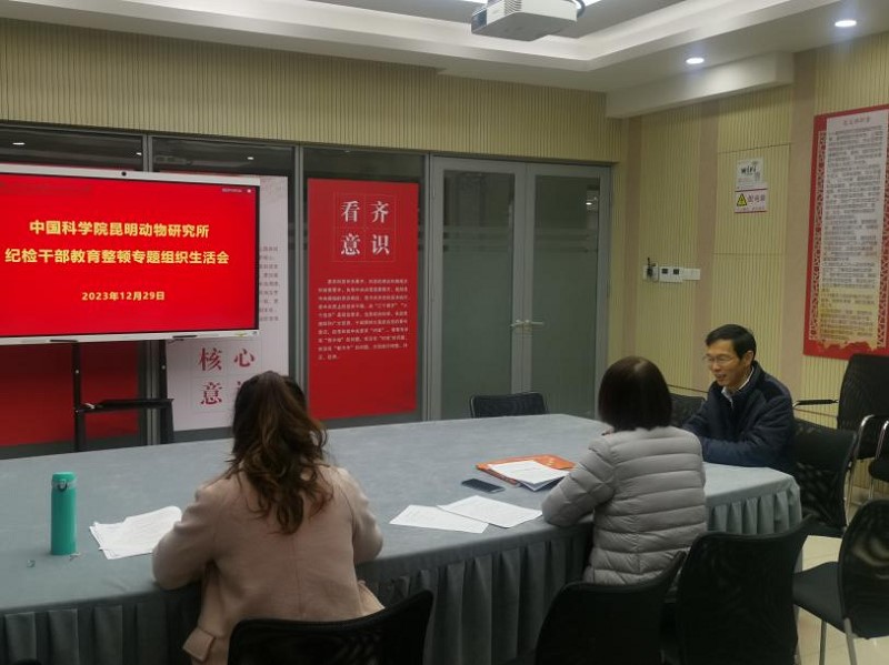 电子游戏app下载安装