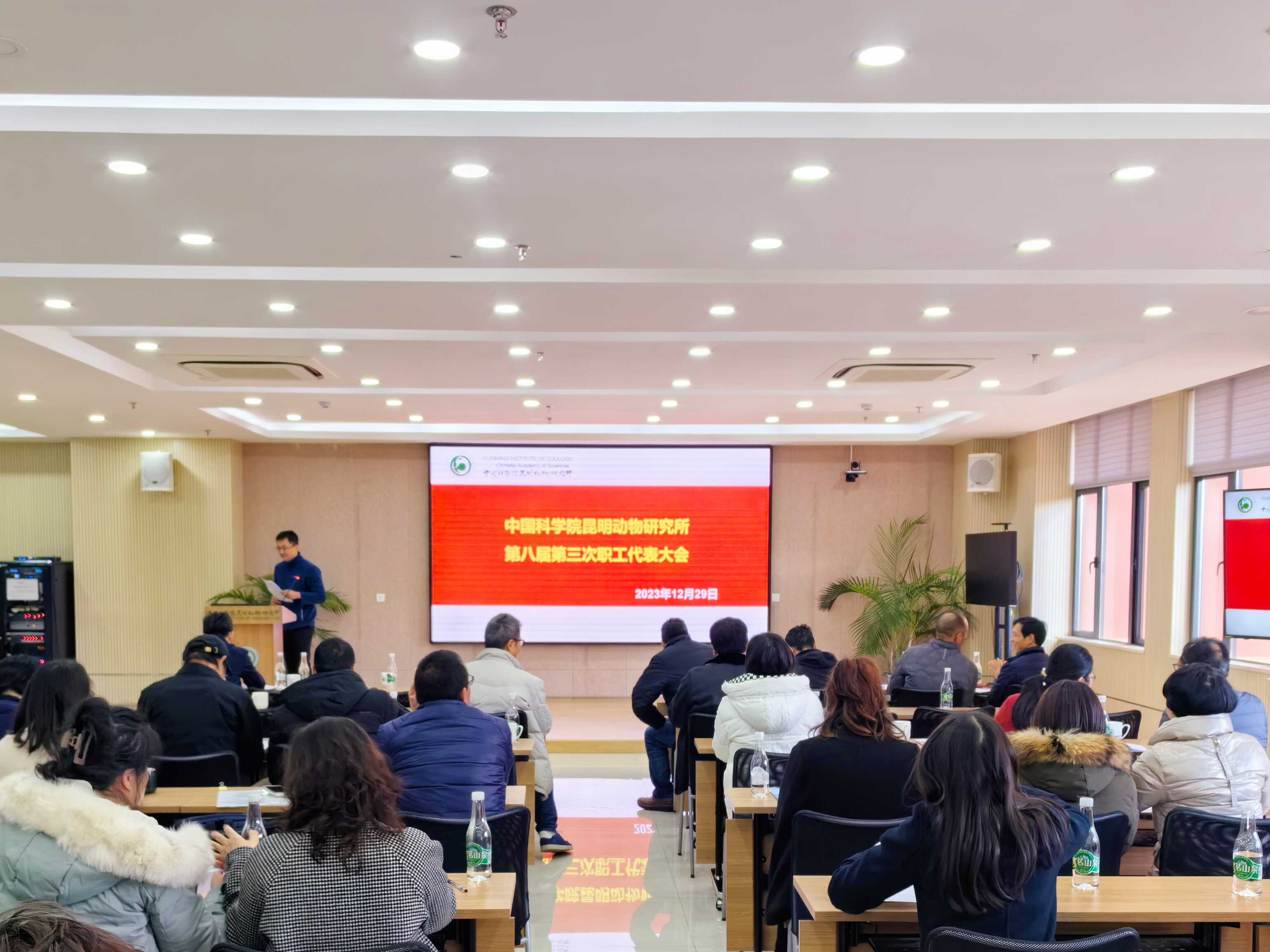 电子游戏app下载安装