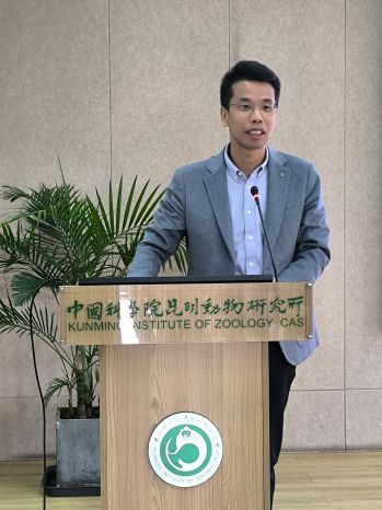 电子游戏app下载安装