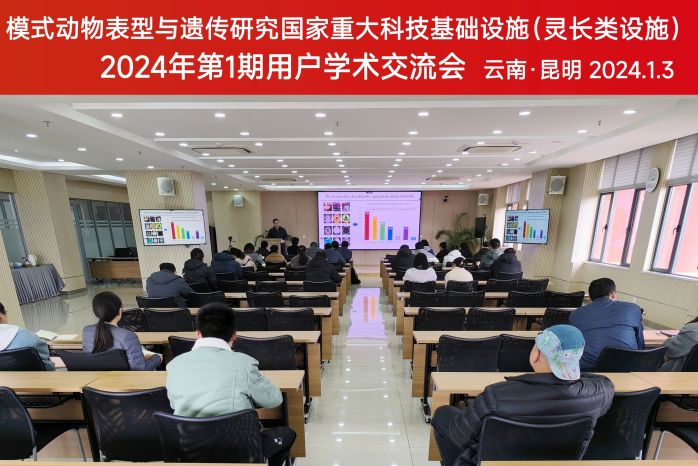 电子游戏app下载安装