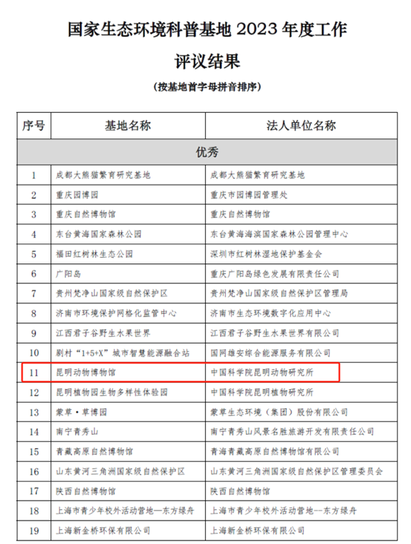 电子游戏app下载安装