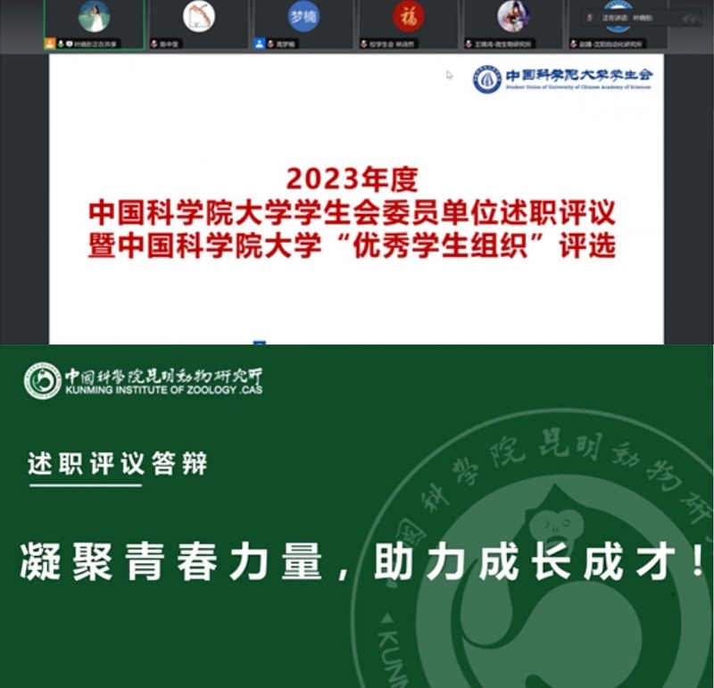 电子游戏app下载安装