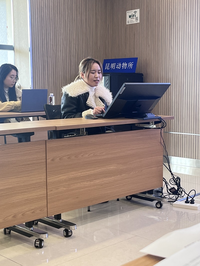 电子游戏app下载安装