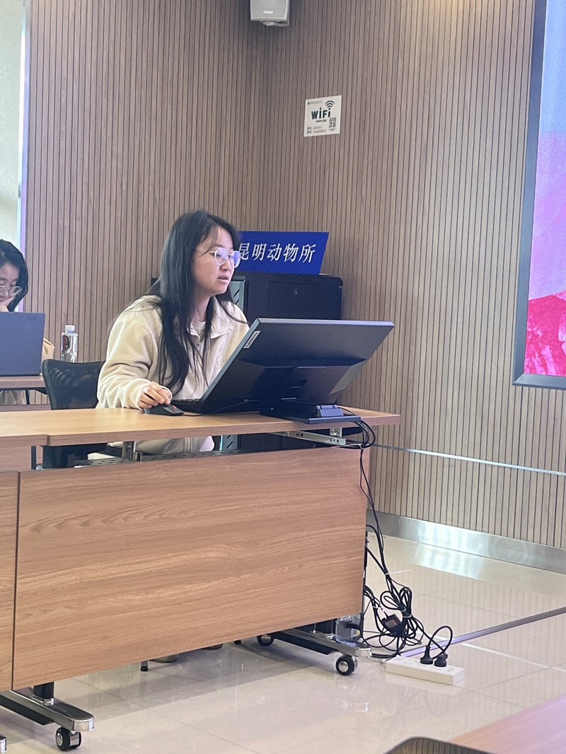 电子游戏app下载安装