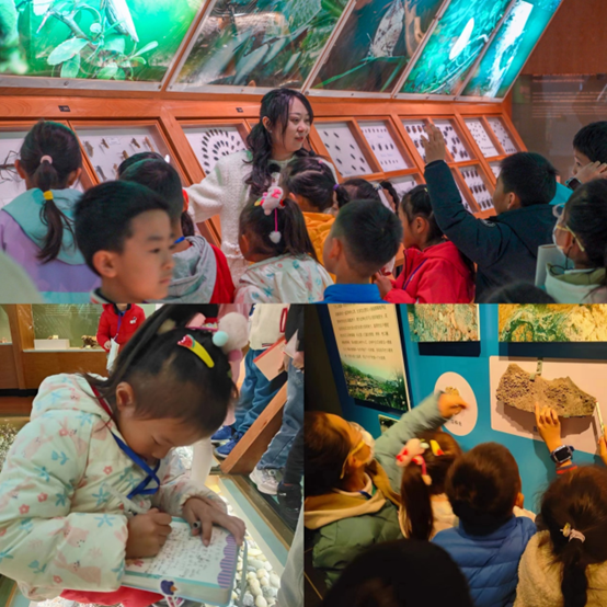 电子游戏app下载安装