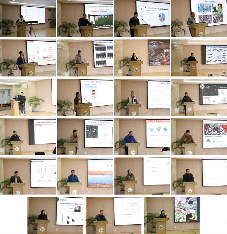 电子游戏app下载安装