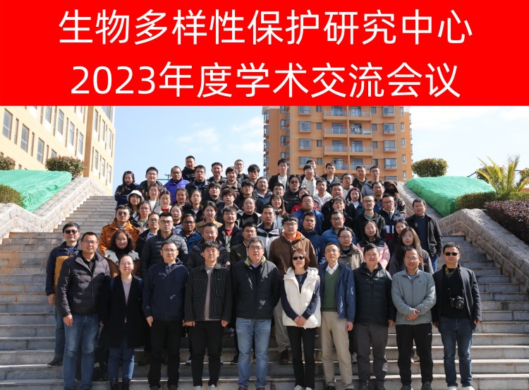 电子游戏app下载安装